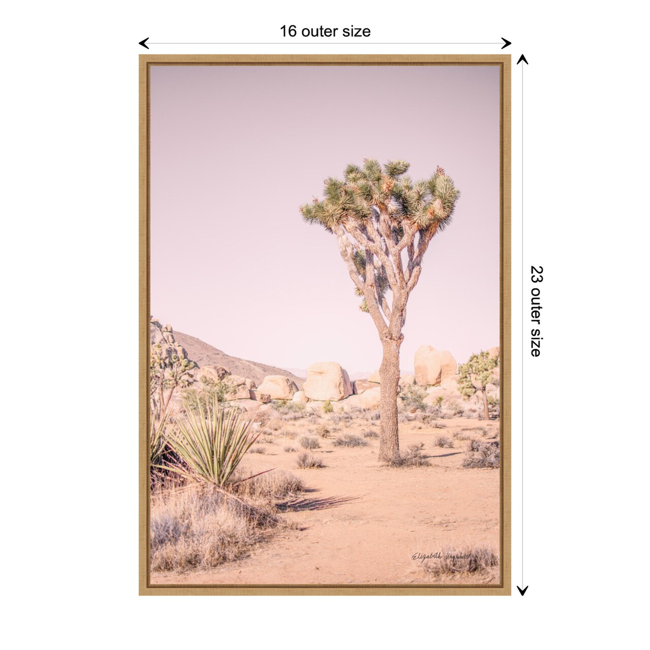 Joshua Tree III Blush by Elizabeth Urquhart Canvas Wall Art Print Framed